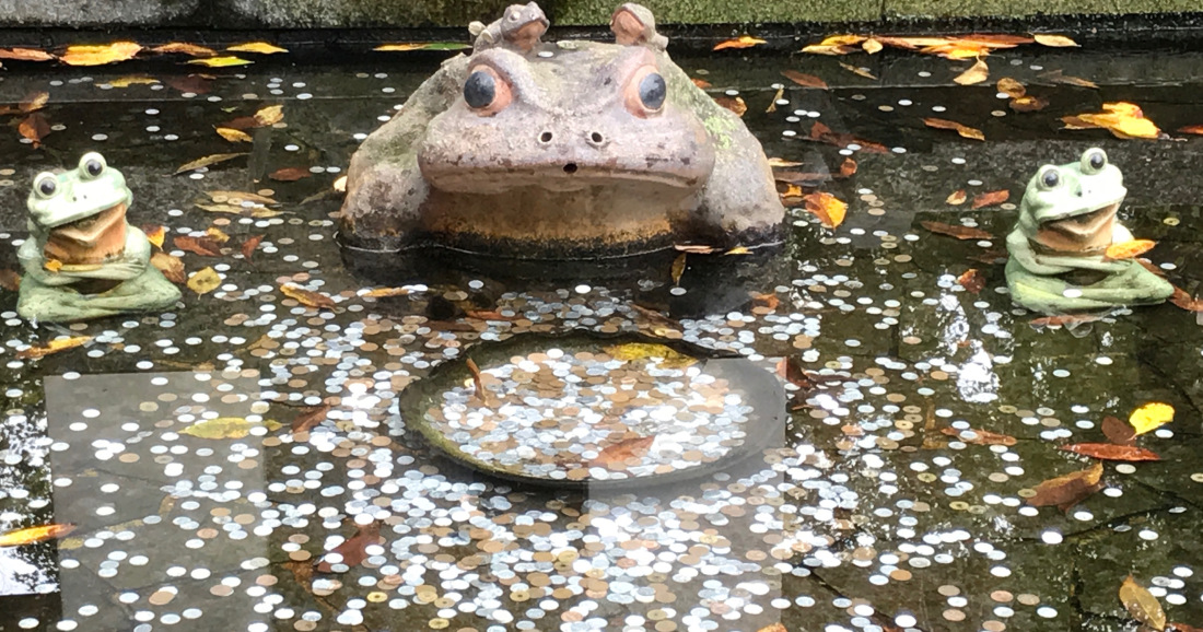 frog coin pond