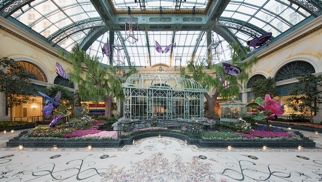 Bellagio Conservatory Spring Display - West Bed